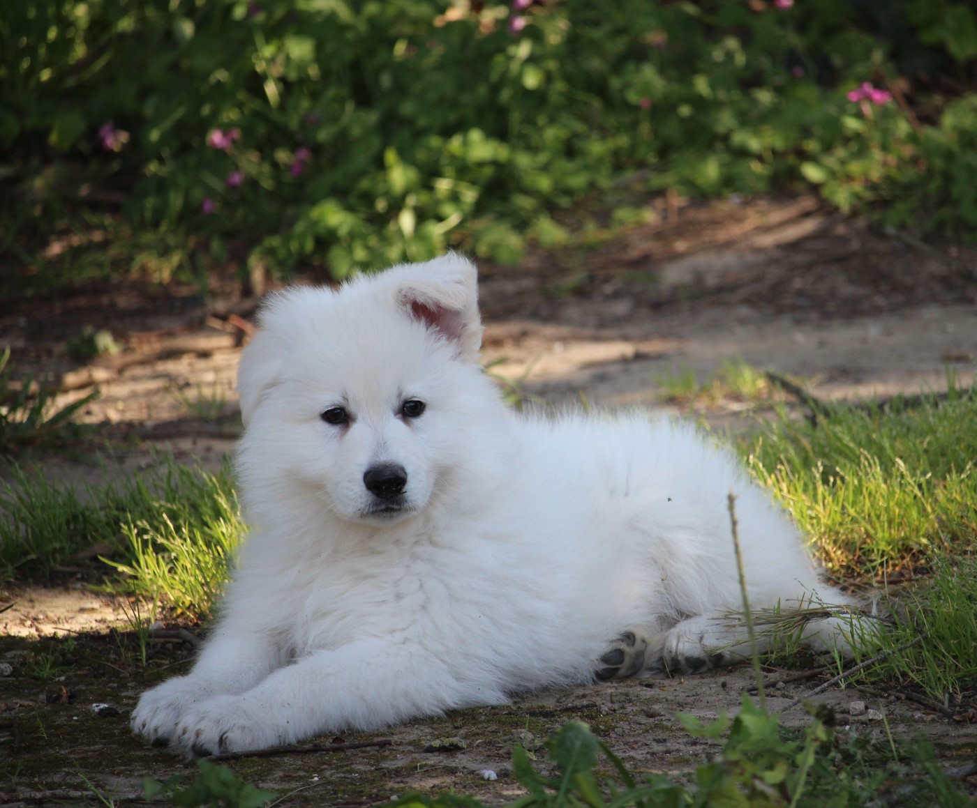 BALOO