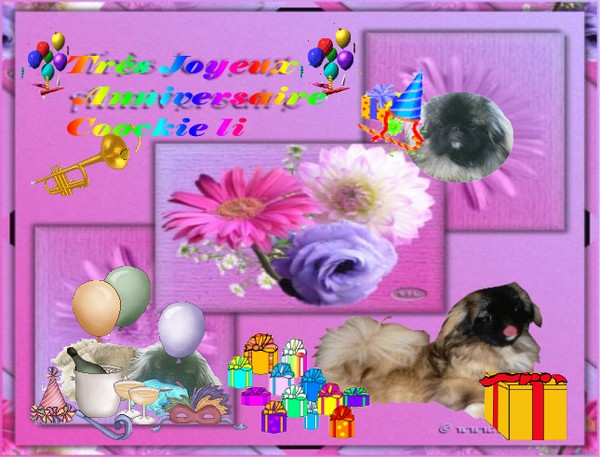 Publication : des espoirs de la forêt