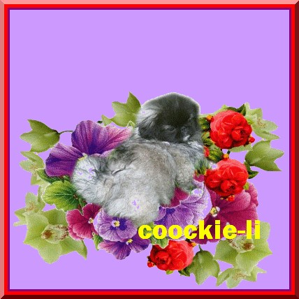 Publication : des espoirs de la forêt