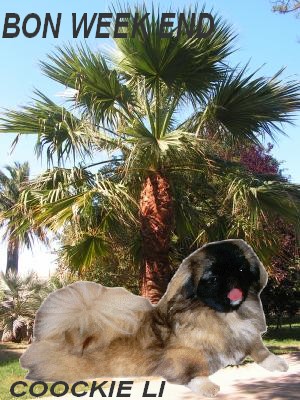 Publication : des espoirs de la forêt