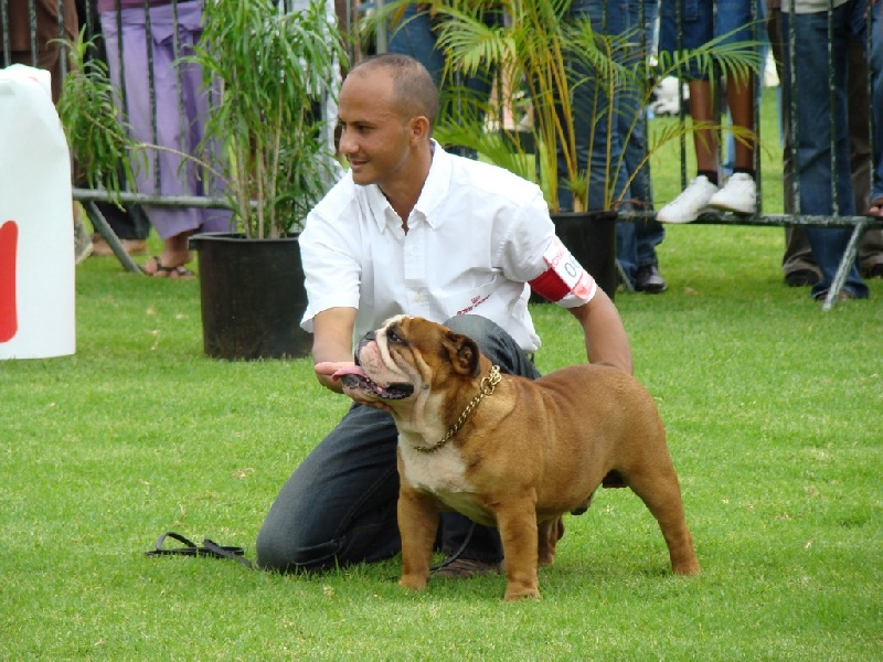 Publication : du Domaine des Remparts Auteur : Hoareau richard