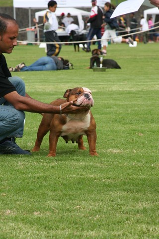 Publication : du Domaine des Remparts