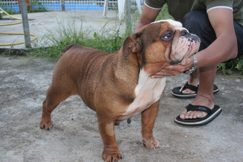 Publication : du Domaine des Remparts