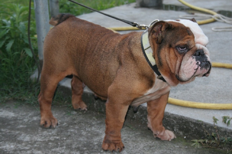 Publication : du Domaine des Remparts