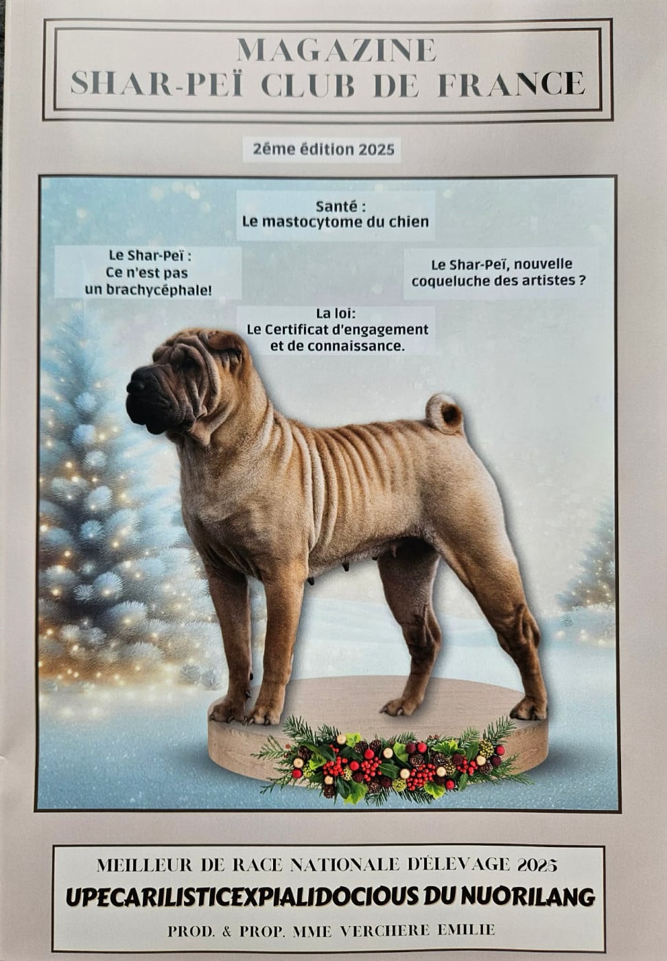 CH. Upecarilisticexpialidocious du Nuorilang