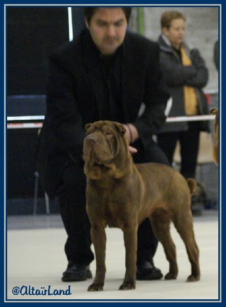 tzo wens Ylang ylang for nuorilang - 1er Excellent - MEILLEURE JEUNE