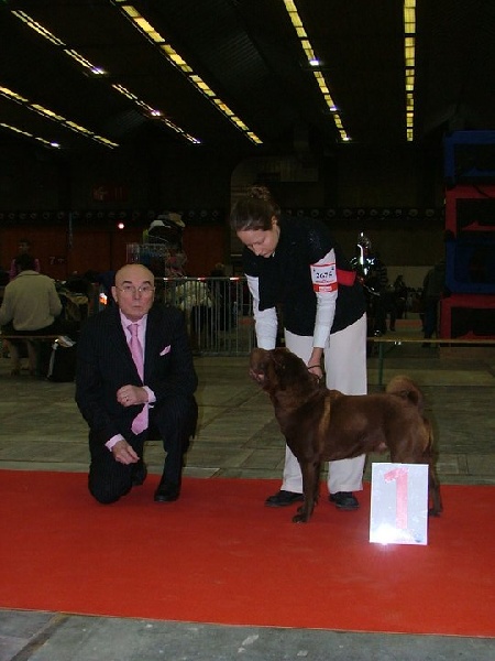 CH. last One standing - 1er Excellent - RCACIB