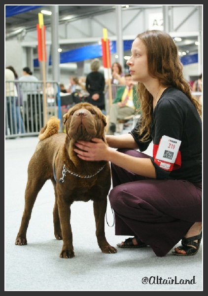 CH. last One standing - 1er Excellent - Meilleur Jeune