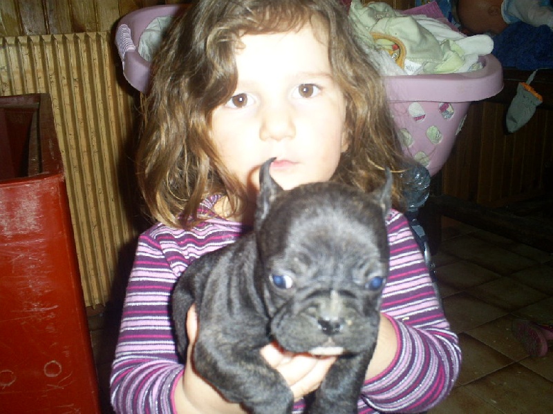 Publication : Du domaine de riboulon Auteur : Lebillif Florence