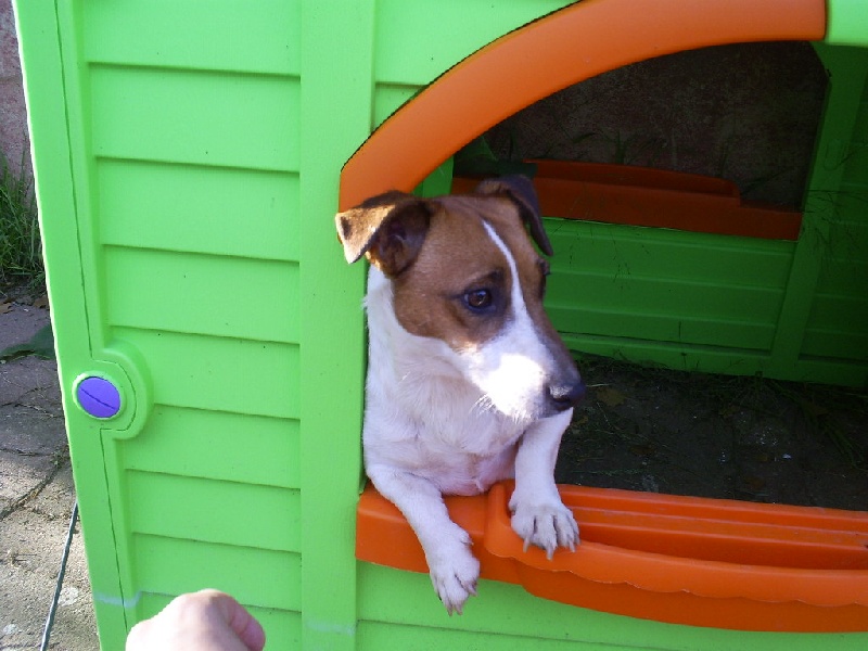 Publication : Du domaine de riboulon Auteur : Lebillif Florence