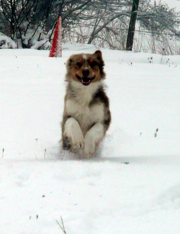 Publication : des soupirs d'alizée Auteur : Lolo