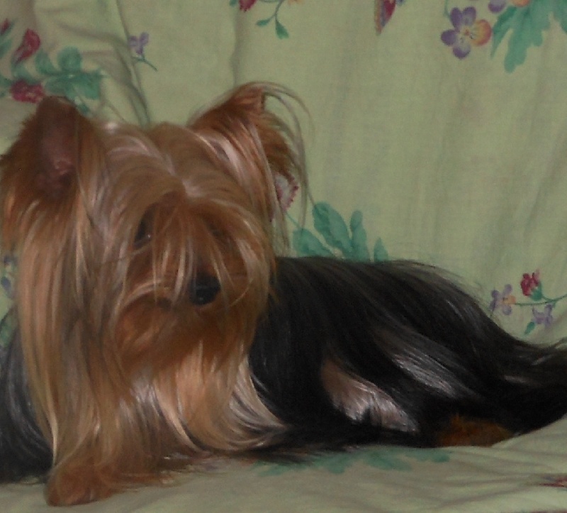 Publication : De la Bergerie du Coteau