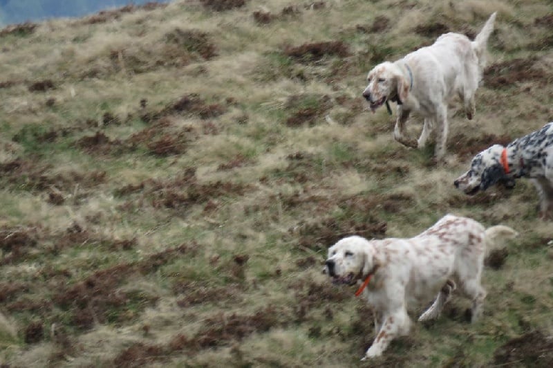 Publication : des pics luchonnais