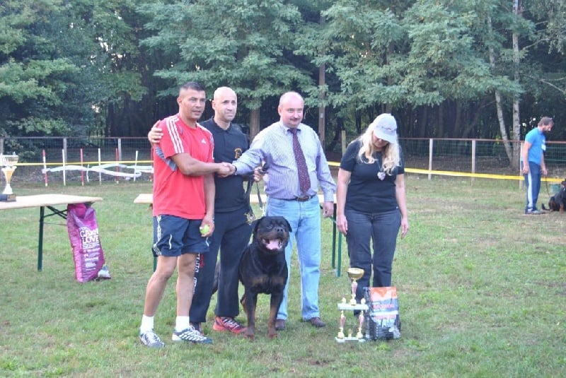 CH. Filou of Krie Gerische Schawarz - V 1 BEST MALE BOB ABSOLUTE