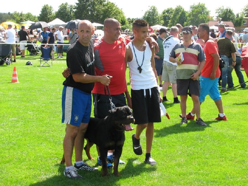 CH. Filou of Krie Gerische Schawarz - OPEN CLASS MALE V 4