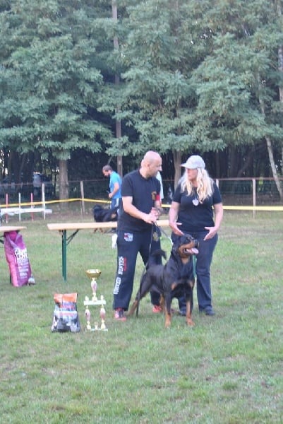 Kora von hause milsped - V 1 ( 19 dog )CACS BEST FEMELLES