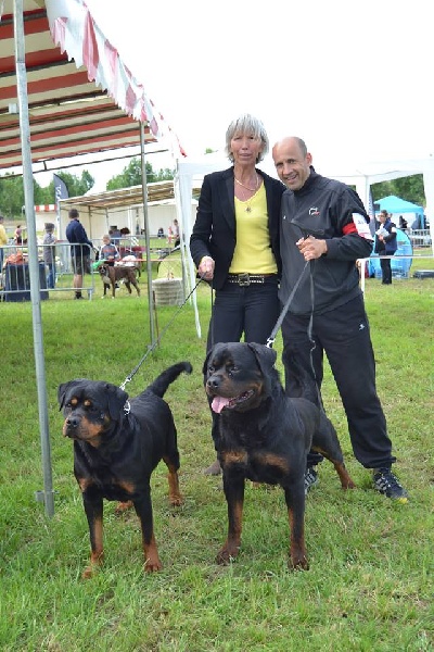 CH. Filou of Krie Gerische Schawarz - OPEN CLASS V1 cacs + cacib +bob
