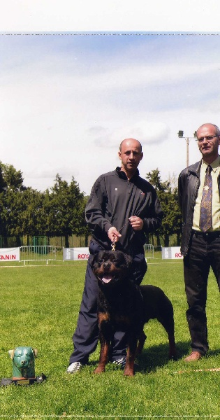 F'ulla of Krie Gerische Schawarz - v1 bob