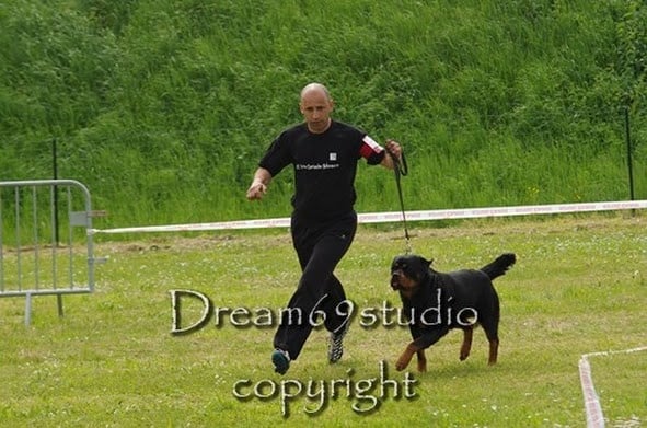 Kora von hause milsped - class inter V 1