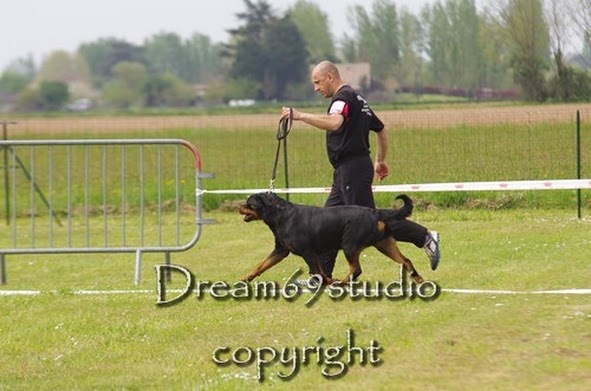 Kora von hause milsped - V1 RCACS