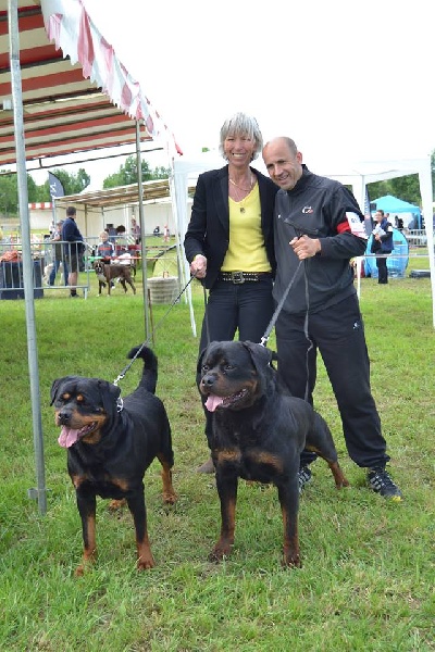 Kora von hause milsped - OPEN CLASS V1 cacs + cacib