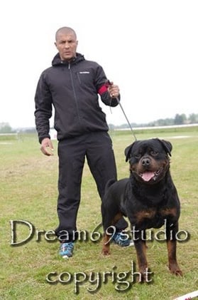 CH. Filou of Krie Gerische Schawarz - OPEN CLASS V1