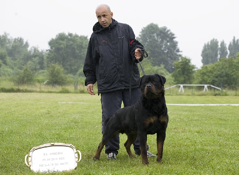 CH. Filou of Krie Gerische Schawarz - v1 open class ,best male ,best of breed