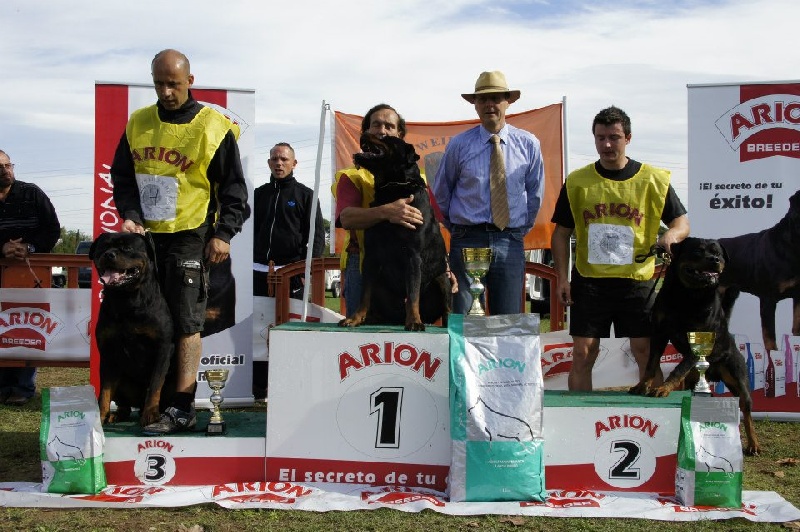 F'ulla of Krie Gerische Schawarz - V 3