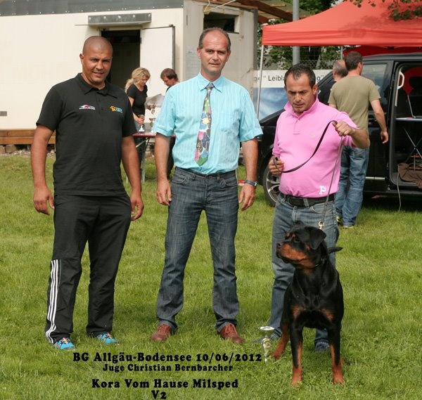 Kora von hause milsped - v 2 res.anw.dt.jgd-ch.vdh