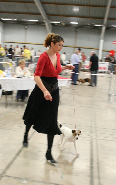 CH. Colline Des halliers de la lierre - 1er excellent