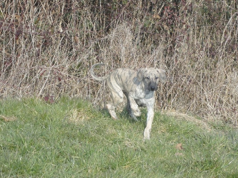 Hadjara el djemilla de la Bérondière
