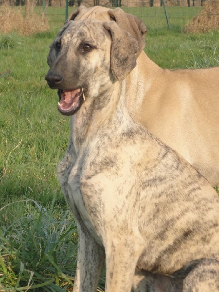 Hadjara el djemilla de la Bérondière