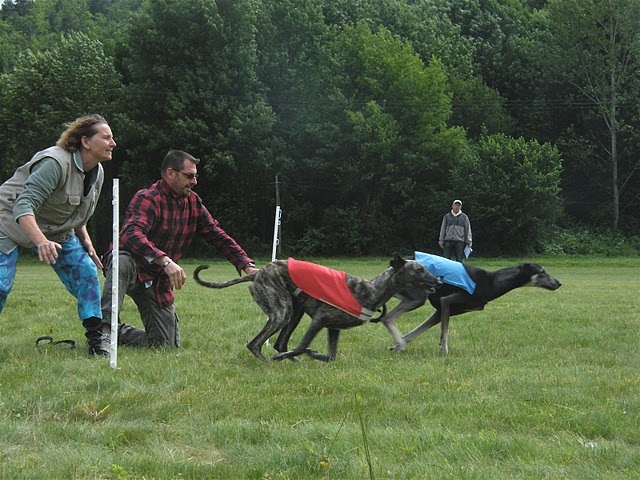 CH. Kamina Bohemia genao - RCACP