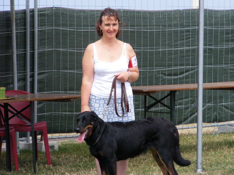 Baguera des Anges de L'Ardilliere - 2ème excellent + RCACS