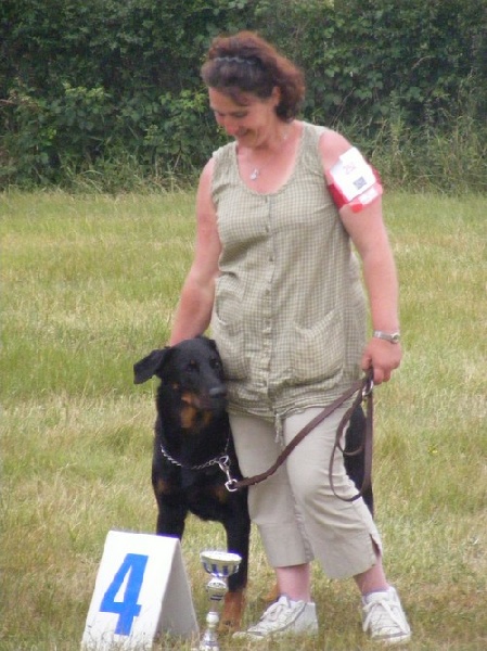 Baguera des Anges de L'Ardilliere - 4ème excellent +