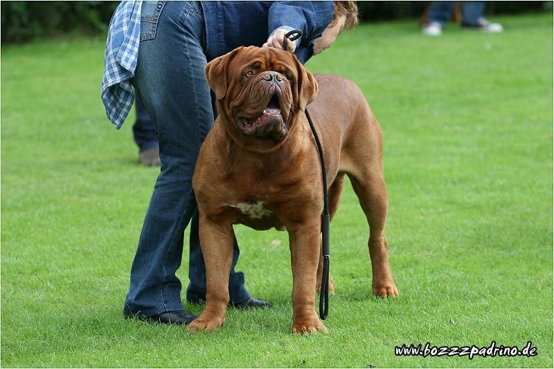 Publication : de l'ombre du cheytan