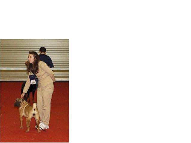 Publication : i dragoni orientali