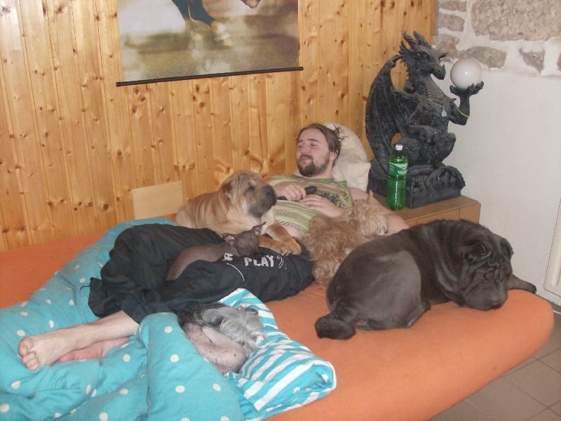 Publication : i dragoni orientali