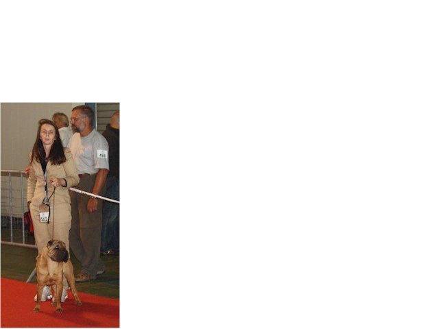 Publication : i dragoni orientali