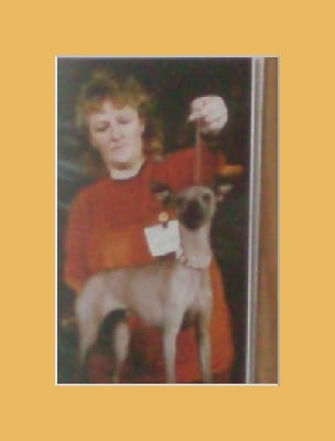 Publication : i dragoni orientali