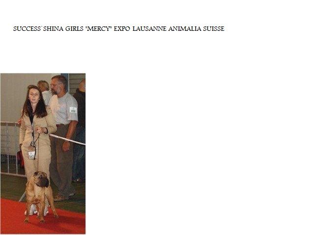 SUCCES`SHINA GIRL.MERCY..... i dragoni orientali - 1.EXC.MEILLEUR JEUNE.CAC.BOB.