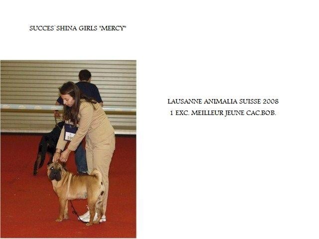 SUCCES`SHINA GIRL.MERCY..... i dragoni orientali - 1.EXC.CAC.