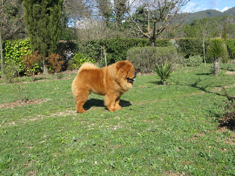 Publication : du Kiang Ti-Ho