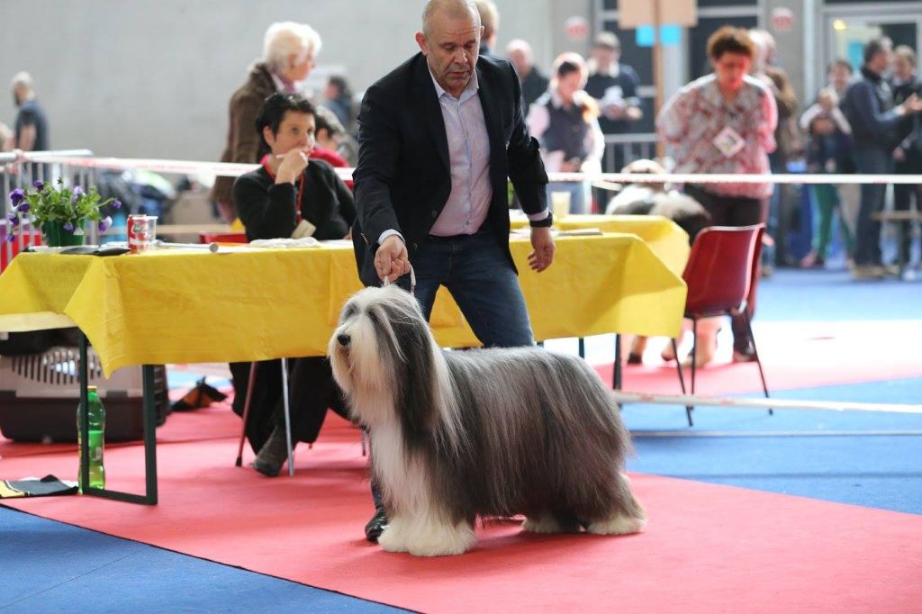 Publication : de Chester