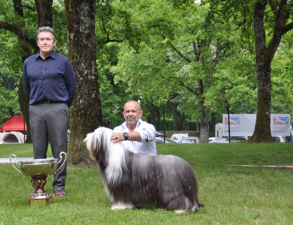 Publication : de Chester