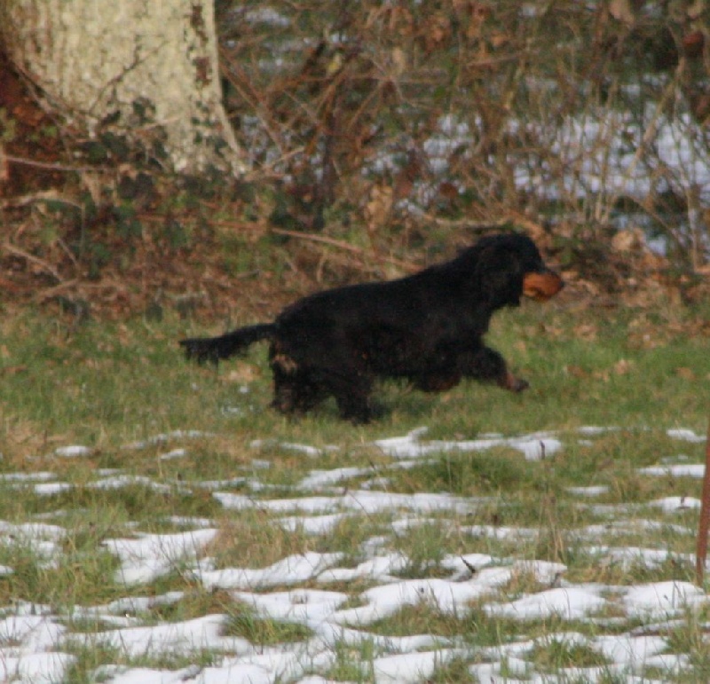 Publication : du cottage de sweet mi lady