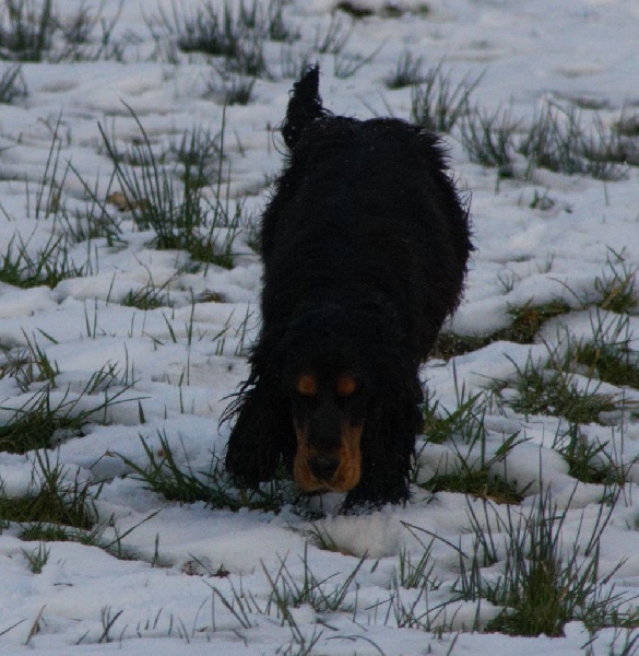 Publication : du cottage de sweet mi lady