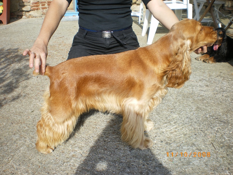 Publication : du cottage de sweet mi lady