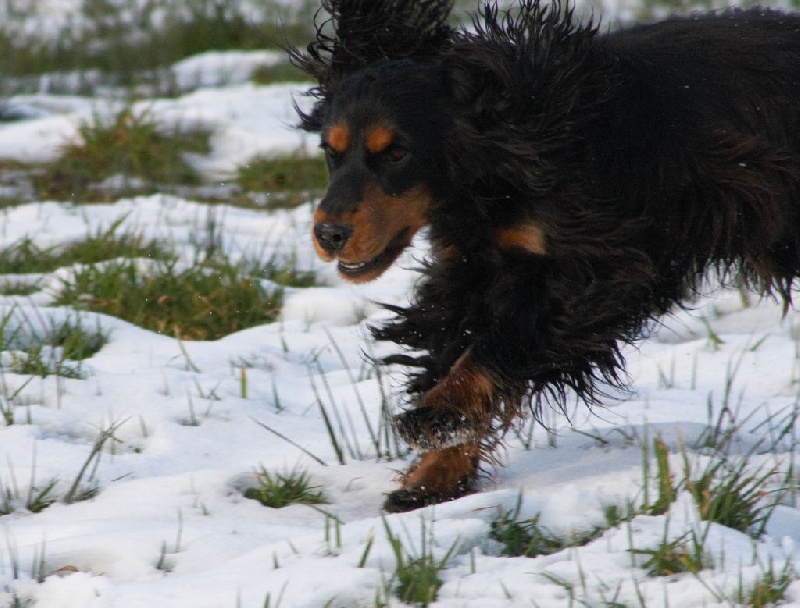 Publication : du cottage de sweet mi lady