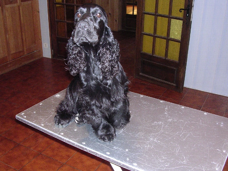 Publication : du cottage de sweet mi lady